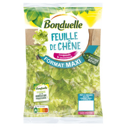 CHENE VERTE BONDUELLE F 8X175G